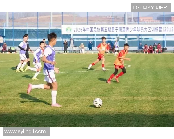 中国足球体育的崛起与挑战：从青训体系到职业联赛的全面发展探讨